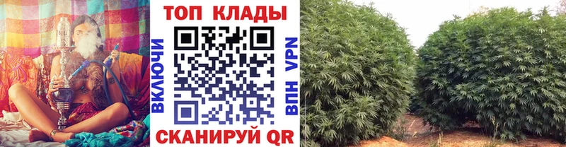 Купить наркотики сайты Починок ГАШ Канабис COCAIN Мефедрон